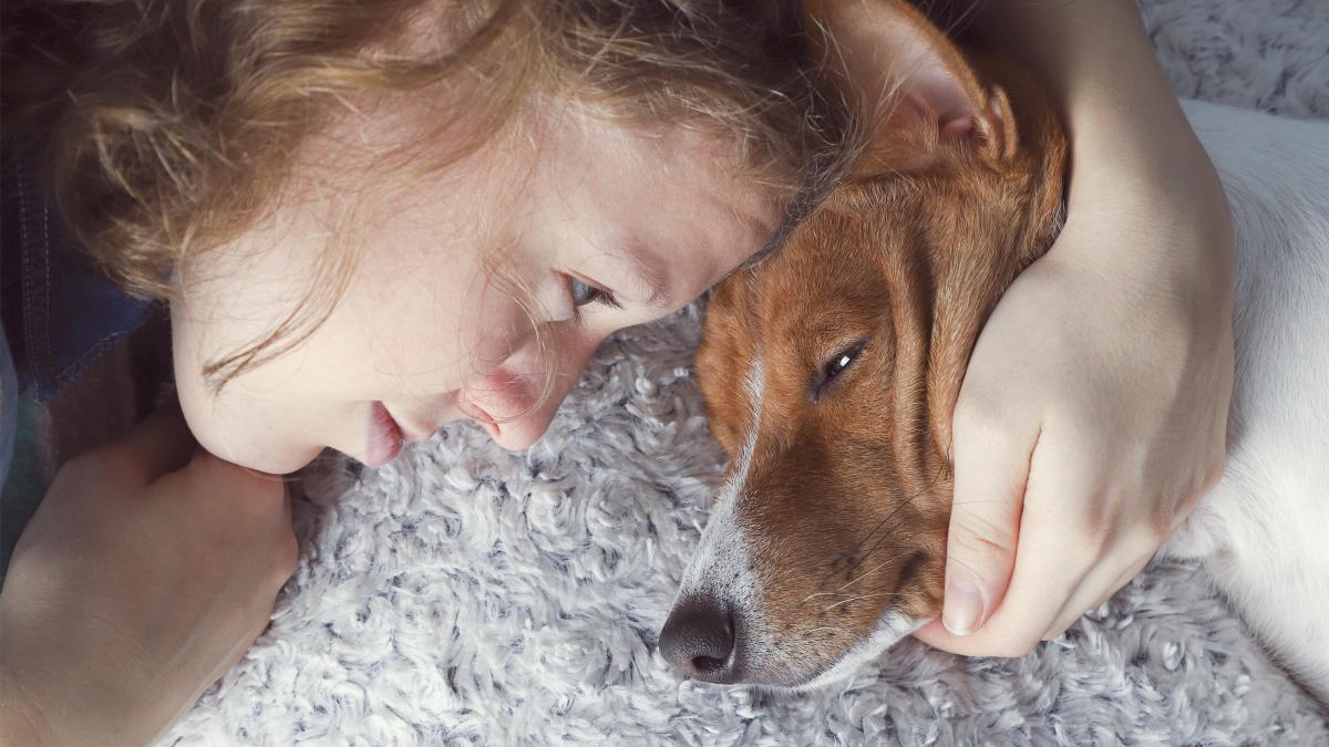 Último adiós mascota